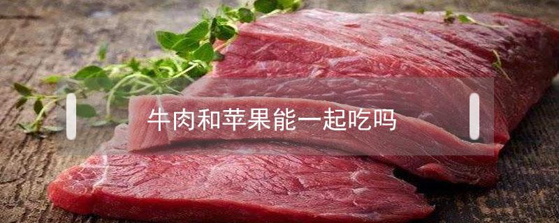 牛肉和苹果能一起吃吗 苹果能和牛肉一起吃吗?