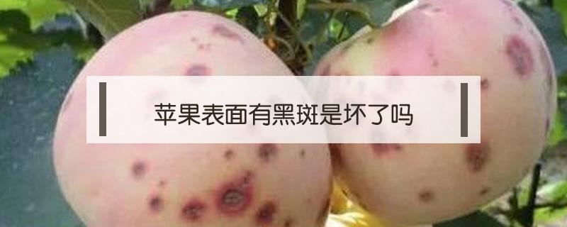 苹果表面有黑斑是坏了吗（苹果屏幕出现黑斑）