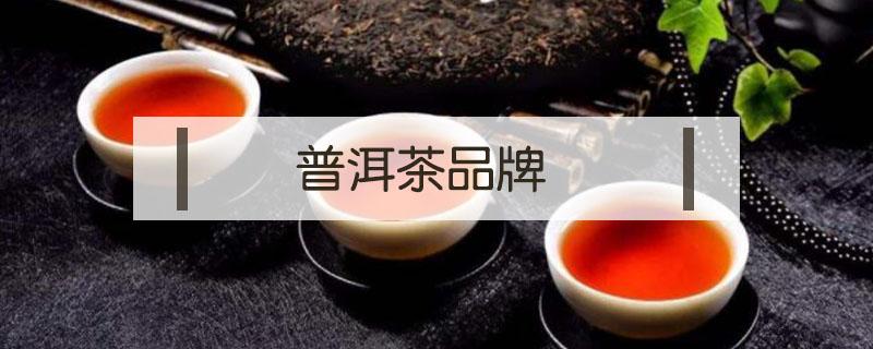 普洱茶品牌（普洱茶品牌 普洱茶十大名牌）