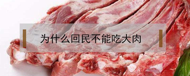 为什么回民不能吃大肉（为什么回民不让吃大肉）