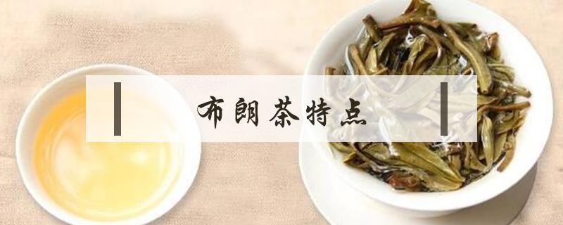 布朗茶特點(diǎn)（老布朗茶的特點(diǎn)）