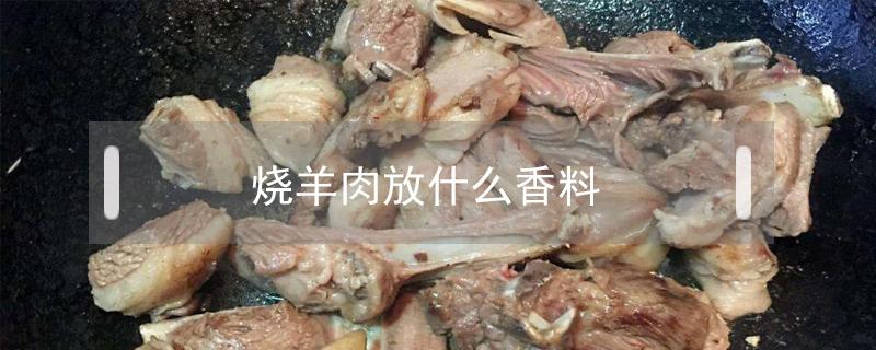 燒羊肉放什么香料（燒羊肉放什么香料去腥）