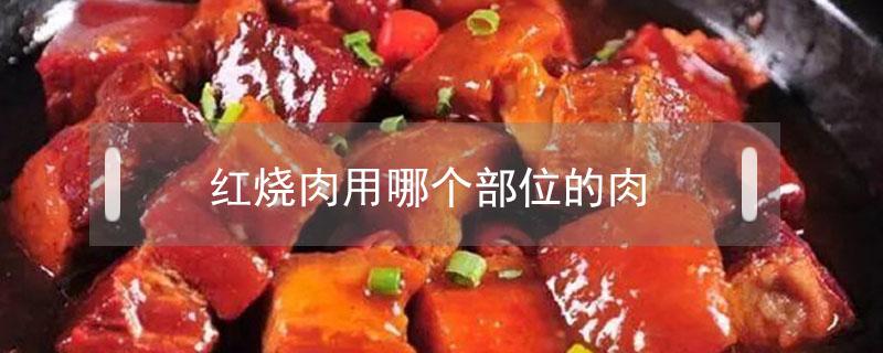 红烧肉用哪个部位的肉（红烧肉用哪个部位的肉好吃）