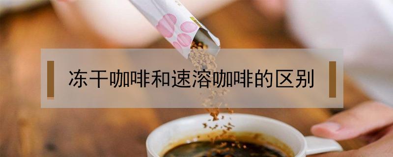 凍干咖啡和速溶咖啡的區(qū)別