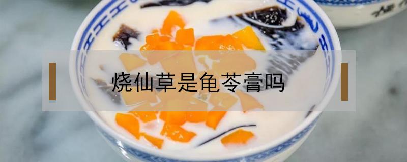 烧仙草是龟苓膏吗 烧仙草里面是不是龟苓膏