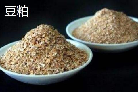 花生粕和豆粕哪個(gè)好