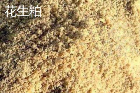 花生粕和豆粕哪個(gè)好