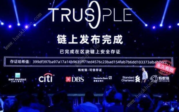 trusple平臺(tái)怎么用 trusple平臺(tái)推出的意義[多圖]圖片1