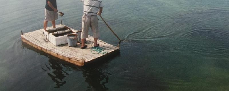 為什么撒化肥釣不到魚，撒化肥三天下雨有效嗎