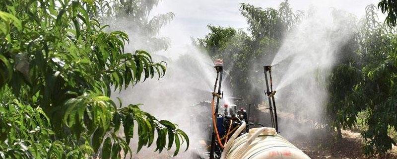 氰霜唑会抑制生长吗 氰霜唑确实抑制生长