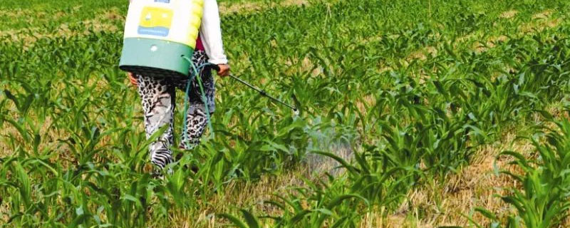 异丙甲草胺除草剂用于哪些 除草剂甲草胺和异丙甲草胺哪个好