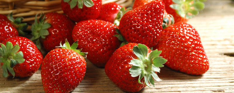 草莓容易生什么虫子 草莓生虫子吗