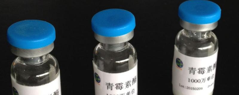 如何通過代謝調(diào)控提高青霉素G發(fā)酵的產(chǎn)量