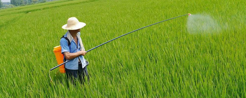 有機(jī)磷農(nóng)藥中毒瞳孔變化 有機(jī)磷農(nóng)藥中毒瞳孔變化特點(diǎn)