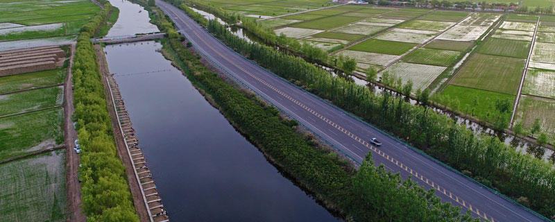 水稻孕穗期可以打滅草松嗎 水稻分蘗期能打滅草松嗎