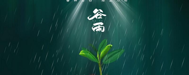 谷雨是下雨好還是不下雨好