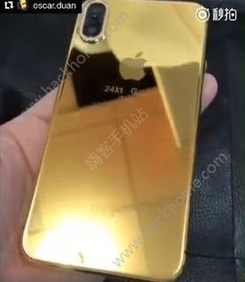 iPhone X黃金限量版是真的嗎？iPhone X黃金定制版圖片分享圖片1_游戲潮