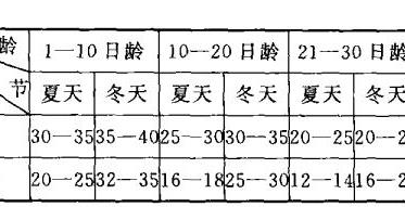 雛鴨的飼養(yǎng)管理注意事項（雛鴨的飼養(yǎng)方法與管理）