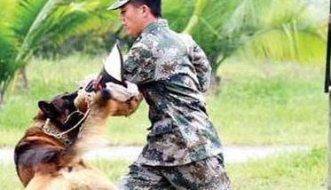 因犬制宜，區(qū)別對待的原則