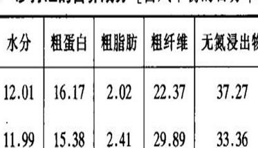 沙打旺怎样羊才爱吃 沙打旺羊喜欢吃吗