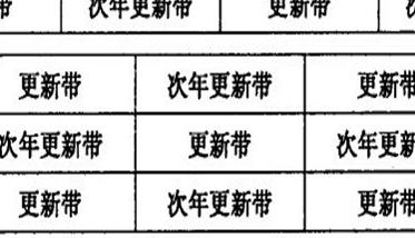 退化竹林块状更新改造方法（竹子林竹林花园旧改）