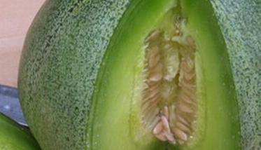 绿宝香瓜的营养价值知多少 绿宝香瓜的功效