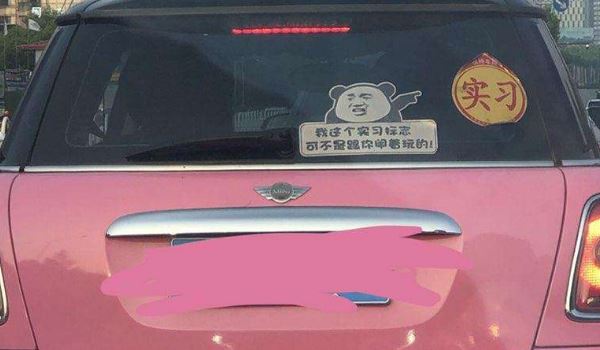 粉色mini車是定制嗎