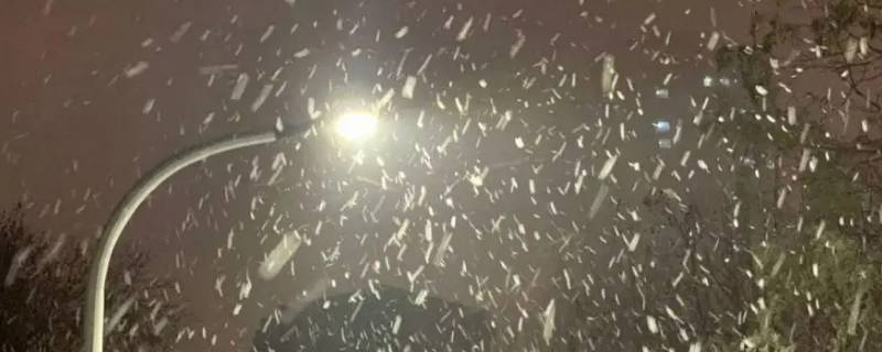 雨夾雪是不是看不到雪 雨夾雪能看到雪嗎