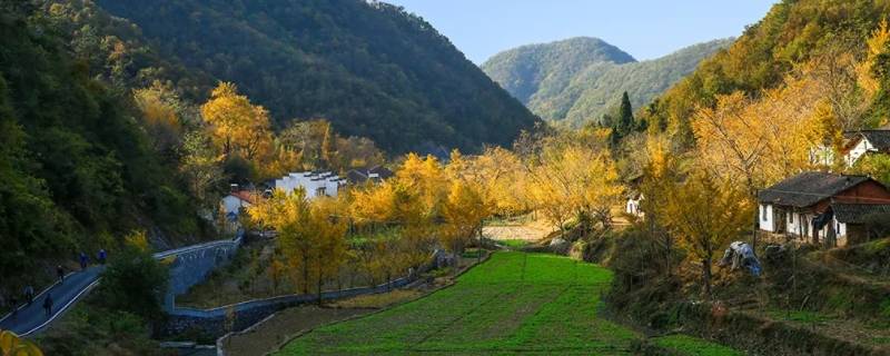 钱冲村是哪个省市（钱排镇有几个村）