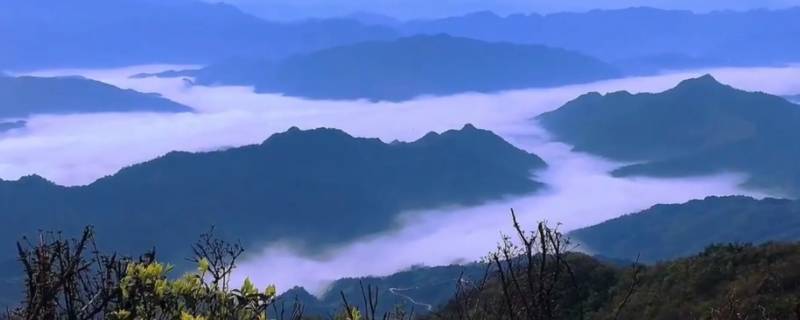 雪峰山主峰在哪個(gè)縣 雪峰山的主峰在哪里