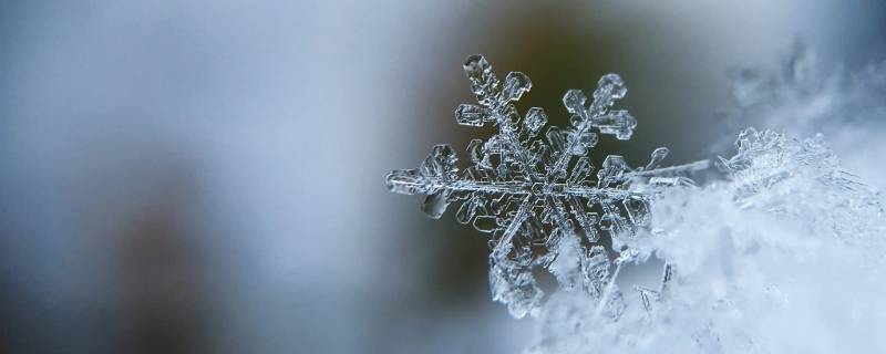 雪花的形状具备什么特点 雪花最基本的形状是什么什么和什么