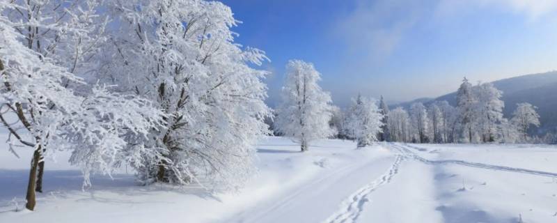 下雪停电是怎么回事（下大雪会停电吗）