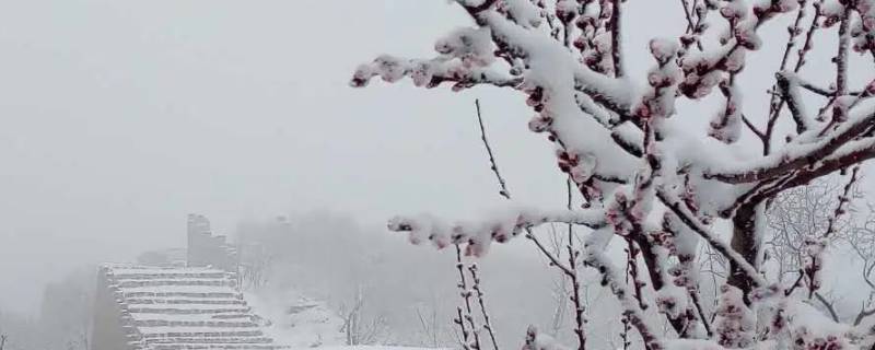 立春后下的雪叫什么雪 立春后的雪有什么说法