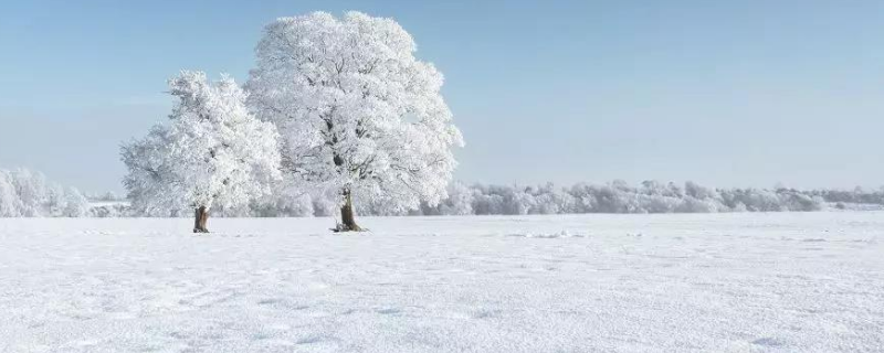 10毫米雪是多大 十毫米雪多大