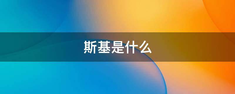 斯基是什么（柴可猪斯基是什么）