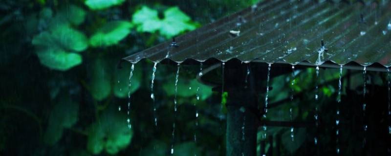 梅雨的梅是哪个梅（梅雨季节的梅是哪个梅）