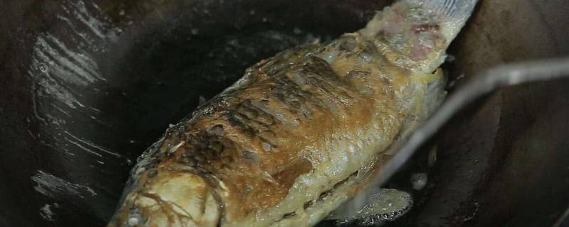 煎魚(yú)是熱鍋冷油還是冷鍋熱油（煎魚(yú)是冷鍋還是熱鍋冷油還是熱油）