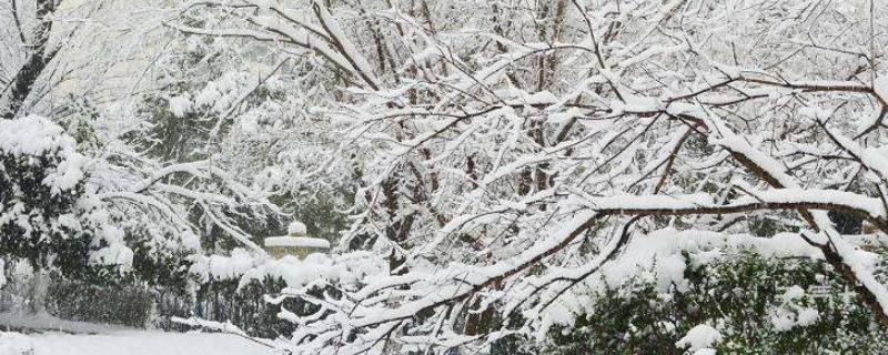 下雪前冷還是下雪后冷 下雪前冷還是下雪后冷是常識嘛