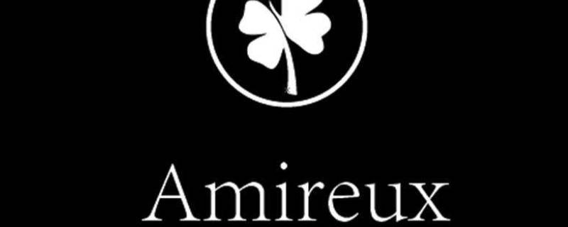 Amireux寓意 amireux有什么特殊意义