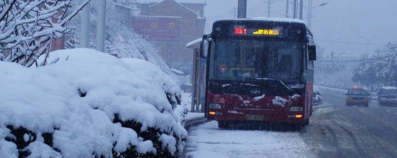 大雪天公交车开吗（雪天坐公交还是开车）