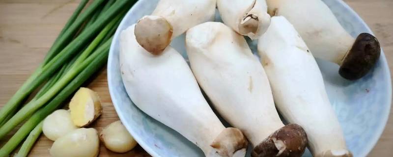 杏鮑菇怎么判斷熟沒熟（怎么確認(rèn)杏鮑菇有沒有熟）