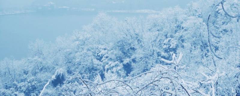 雪的密度（小王同學為了測量積雪的密度）