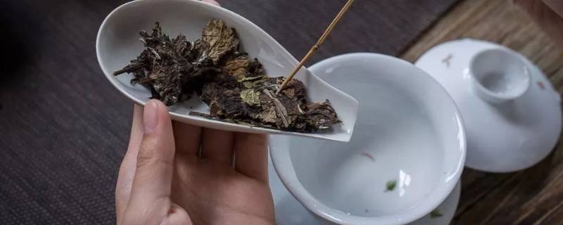 茶饼怎么泡茶（普洱茶饼怎么泡茶）