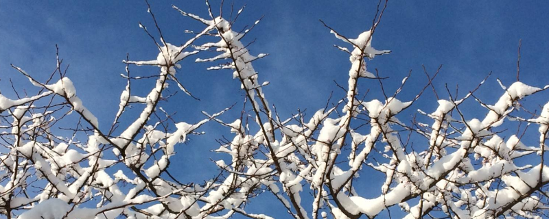 為什么下雪后是晴天 為什么下完雪就天晴