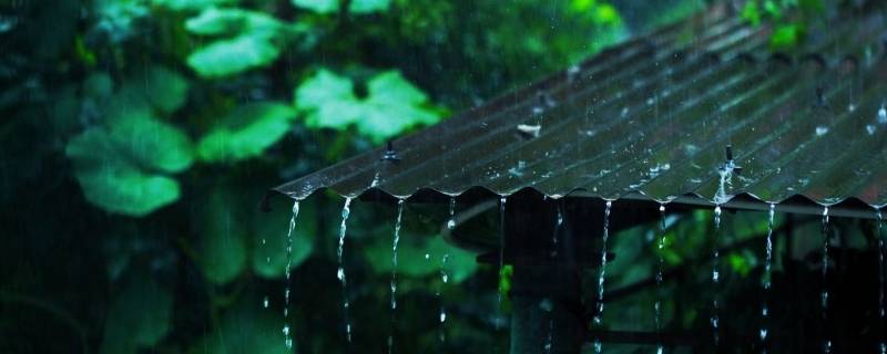 梅雨的梅得名于 梅雨的梅得名于杨梅成熟之意