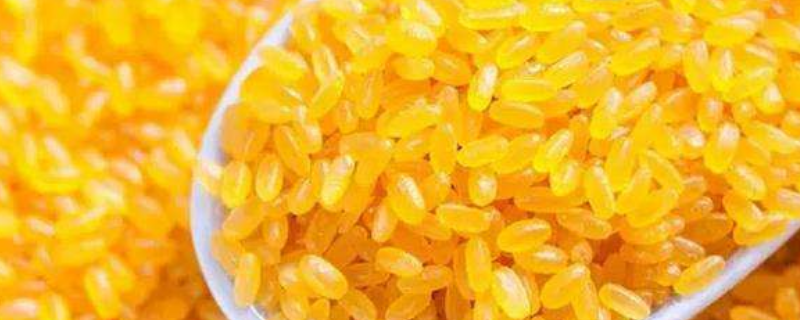 黄颜色的大米是啥米 像大米一样的黄色米是什么米