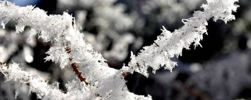 雪的熔点 撒盐可以降低雪的熔点