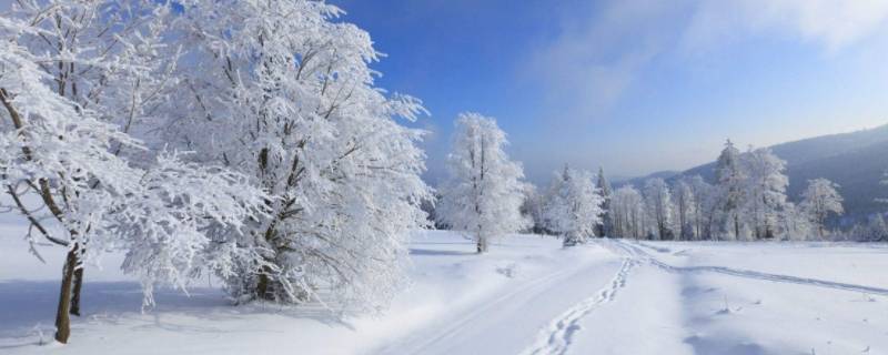 為什么不下雪 上海為什么不下雪