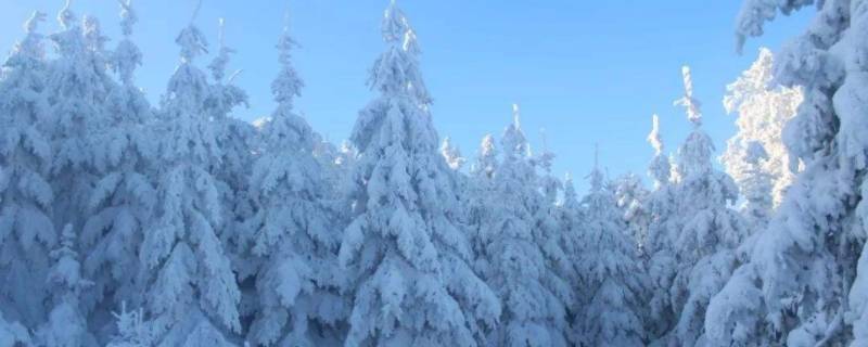 阵雪大还是小雪大 小雪和雨夹雪谁大