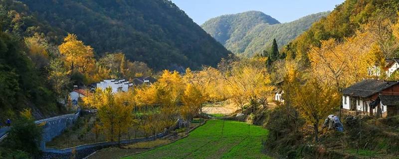 钱冲村是哪个省 湖北钱冲村